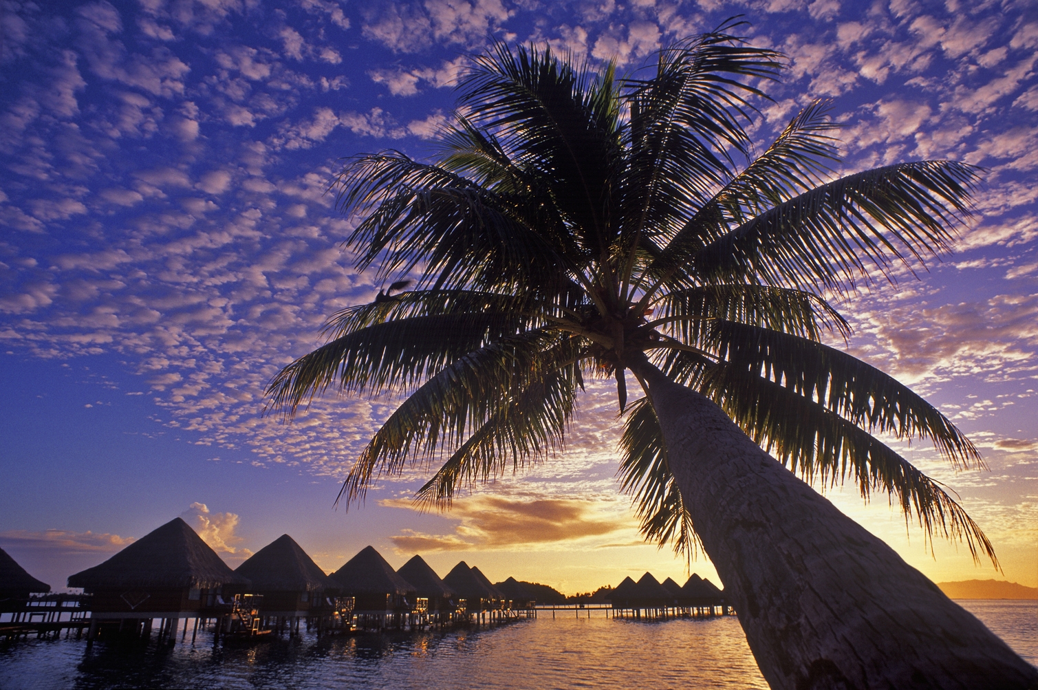 大溪地洲际度假村预订及价格查询,Intercontinental Resort Tahiti_八大洲旅游
