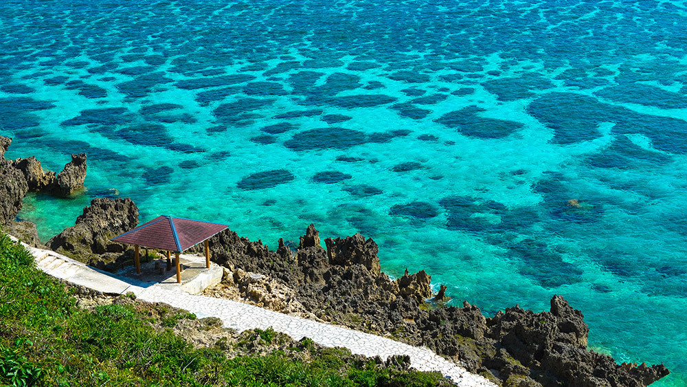 「世界梦号」dream cruises 星梦邮轮夏季航线 广州-公海-那霸-宫古