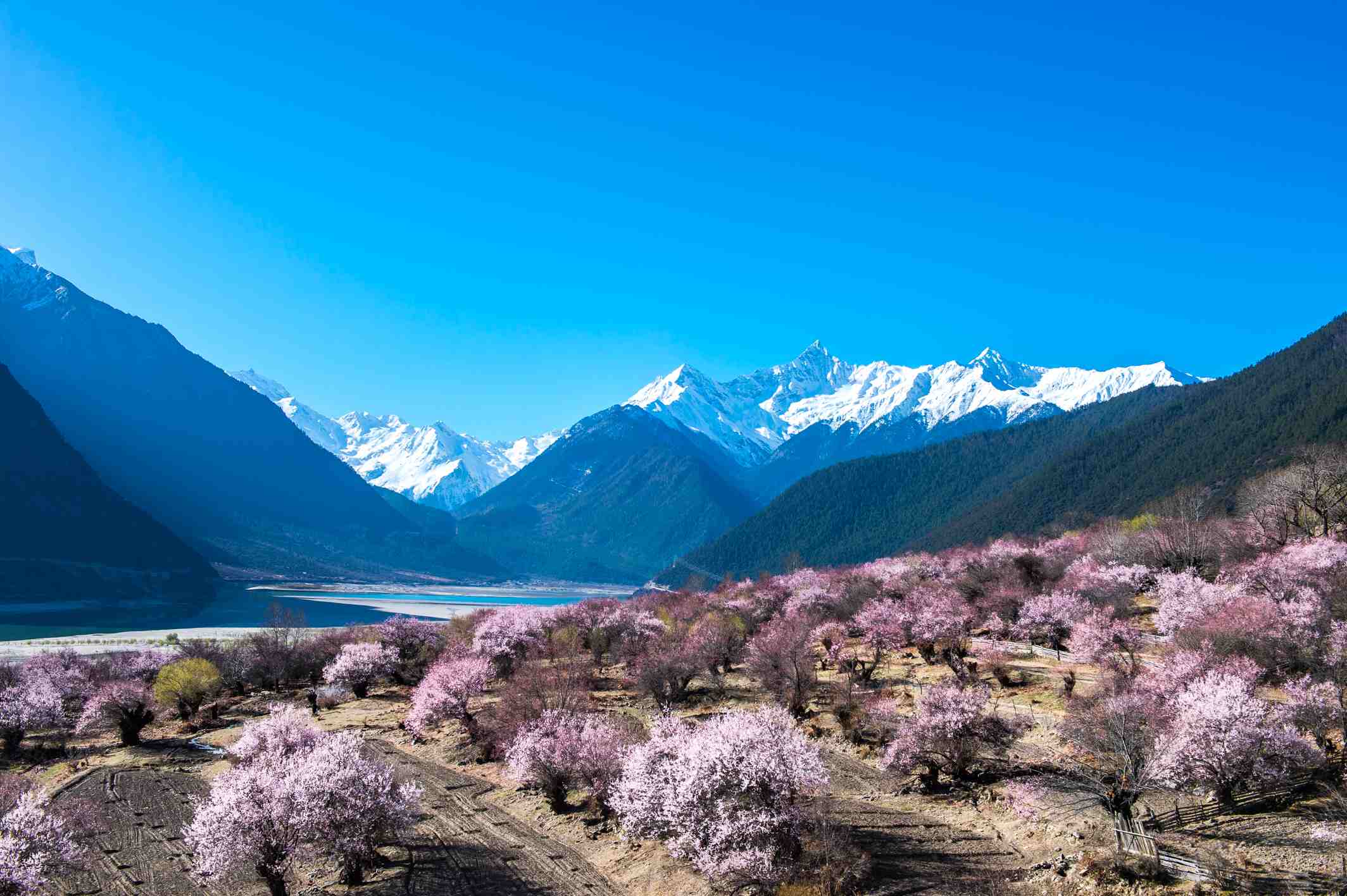 冬日走在朝圣的路上，到西藏赏雪景享阳光-八千里旅行