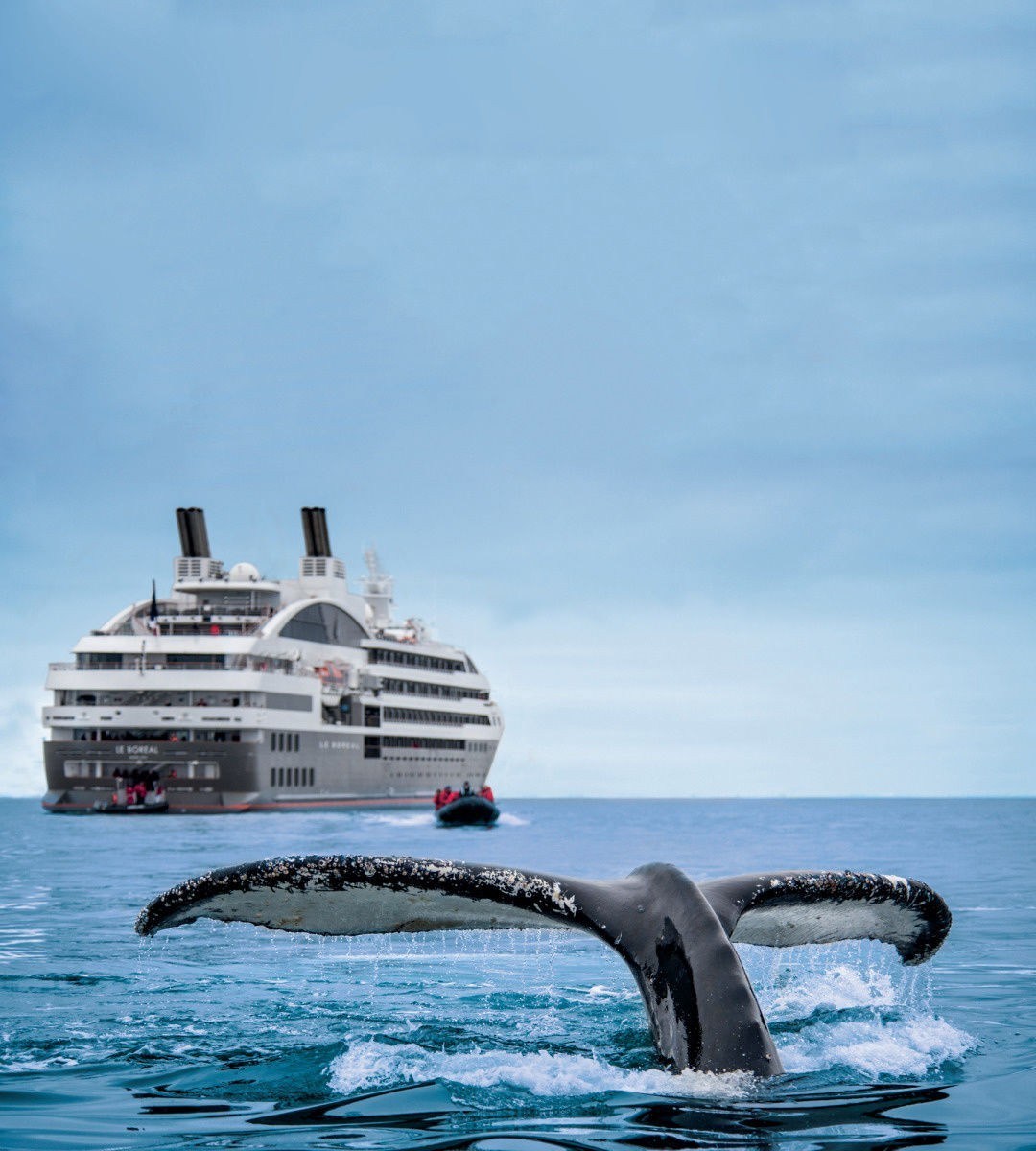 【国家地理】南极半岛11晚12天庞洛邮轮北冕号探索极地