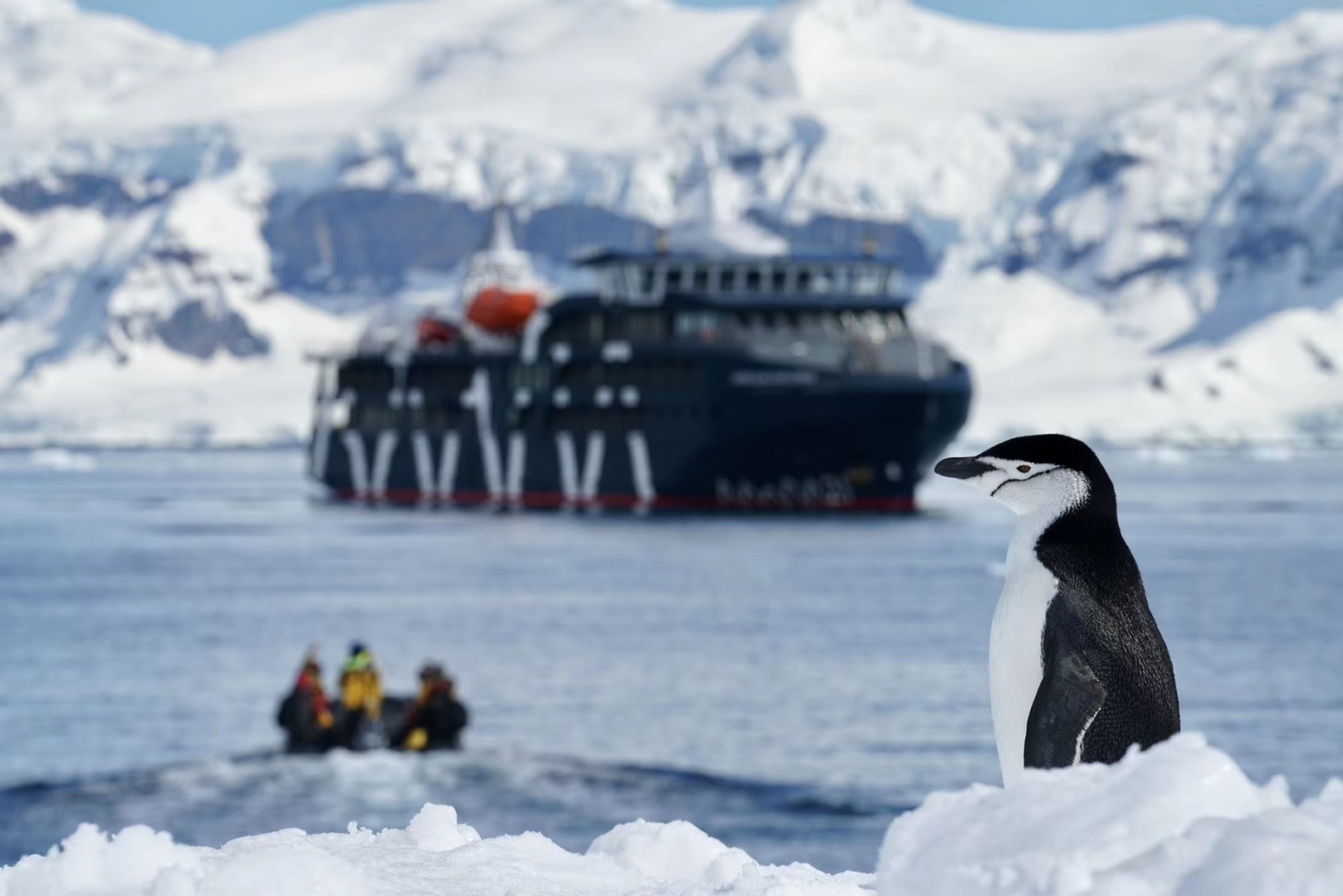 海空联航 经典探险丨Antarctica21 智利+南极7晚8天假期【Magellan Explorer 麦哲伦探索号游轮+南设得兰群岛+南极半岛+乔治王岛+冰雪峡湾+南极登陆+双飞往返+一价全含】