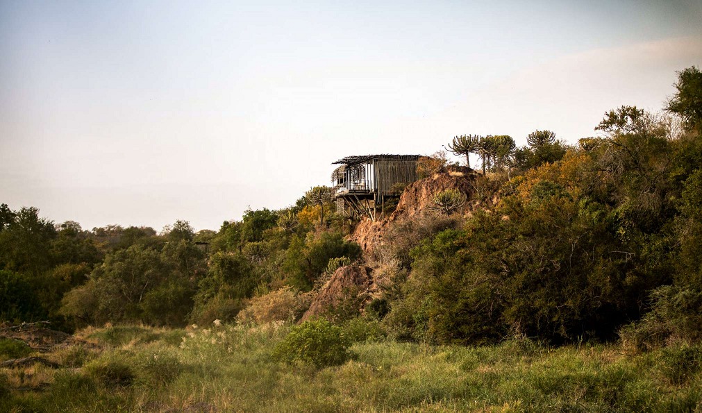 Singita 野奢双营地 |南非Kruger National Park克鲁格国家公园+Sabi Sand保护区6晚7天摄影之旅【飞机接驳