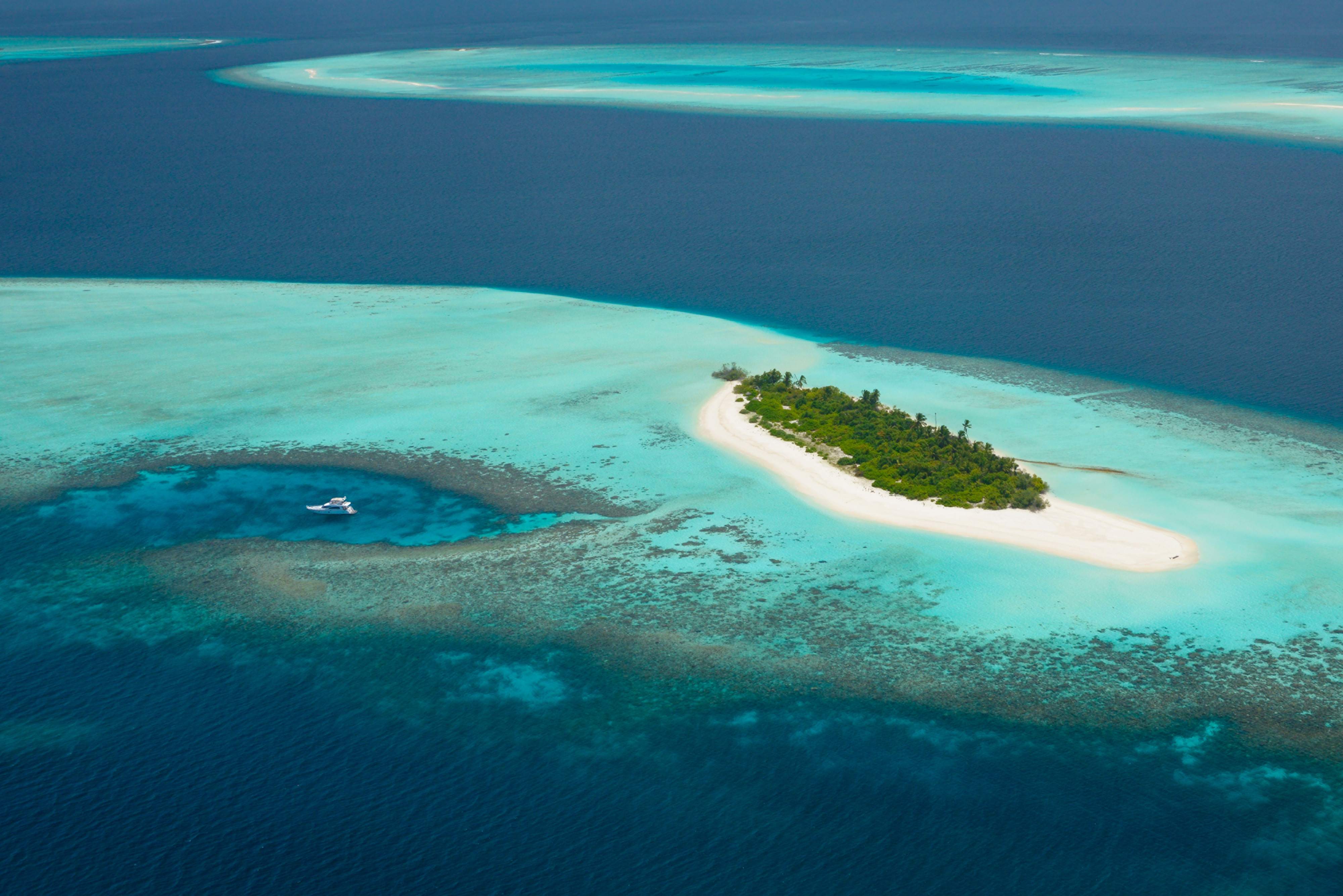 一对夫妻10万买下两座岛，花费1.5亿装修，建成最美私人岛屿|情人岛|度假村|海岛_新浪新闻
